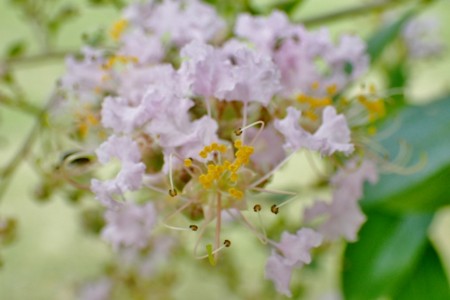 f:id:fujitam3:20160728211005j:image