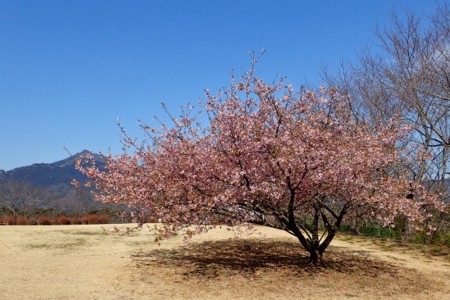 f:id:fujitam3:20170304150958j:image