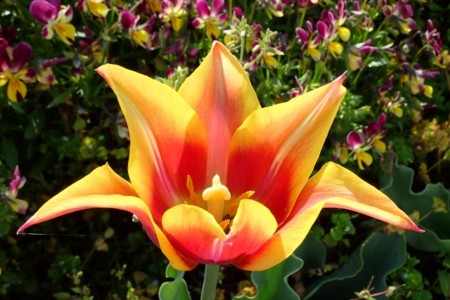 f:id:fujitam3:20170420213020j:image