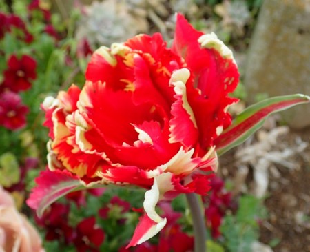 f:id:fujitam3:20170420213023j:image