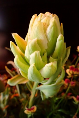 f:id:fujitam3:20170423063649j:image