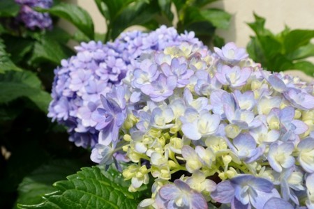 f:id:fujitam3:20170702125726j:image