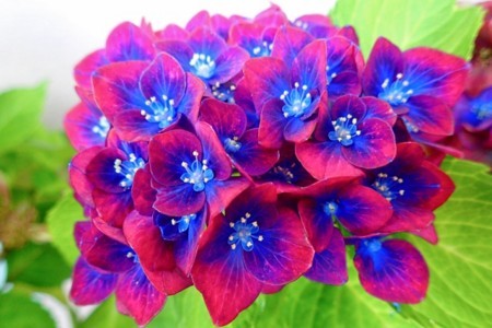 f:id:fujitam3:20170702125729j:image