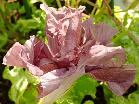 f:id:fujitam3:20170716133829j:image