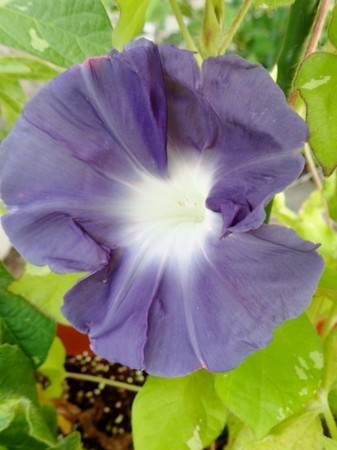 f:id:fujitam3:20170716133833j:image