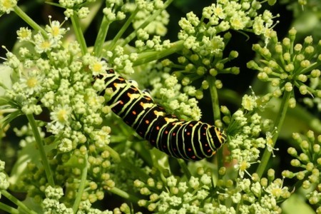 f:id:fujitam3:20171031214910j:image