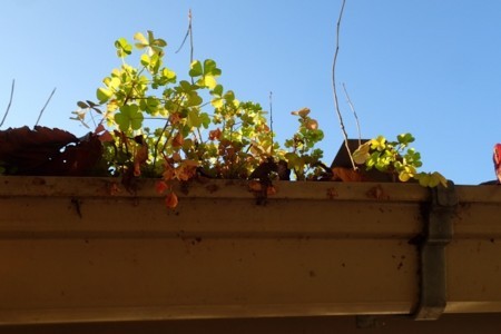 f:id:fujitam3:20171109211550j:image