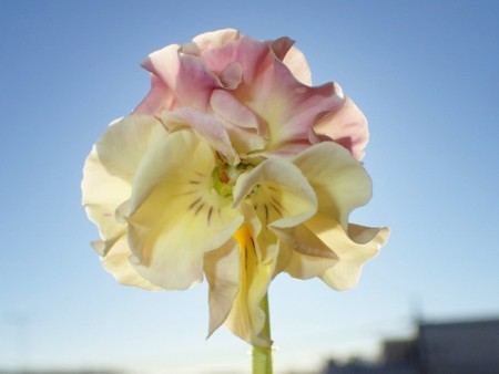 f:id:fujitam3:20171112081912j:image