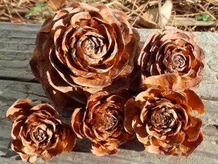 f:id:fujitam3:20171229225914j:image