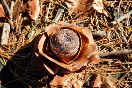 f:id:fujitam3:20171230223302j:image