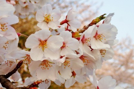 f:id:fujitam3:20180329001326j:image
