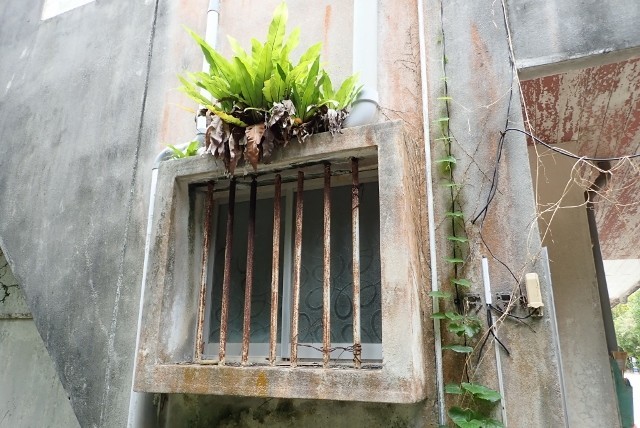 f:id:fujitam3:20190213214353j:plain