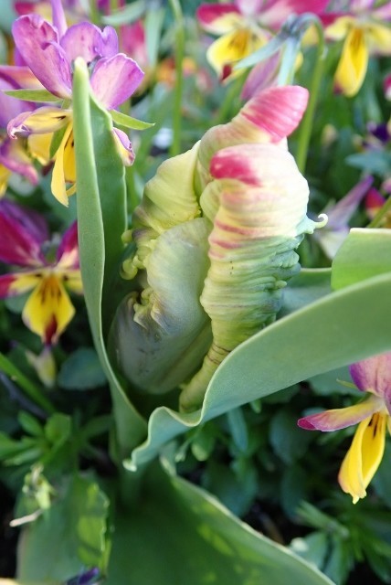 f:id:fujitam3:20190401220456j:plain