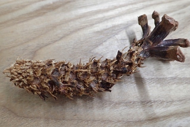 f:id:fujitam3:20190405222748j:plain