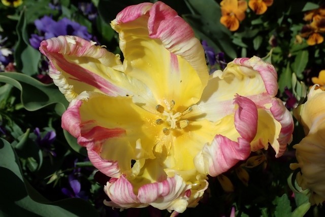 f:id:fujitam3:20190411212249j:plain