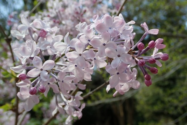 f:id:fujitam3:20190414113429j:plain