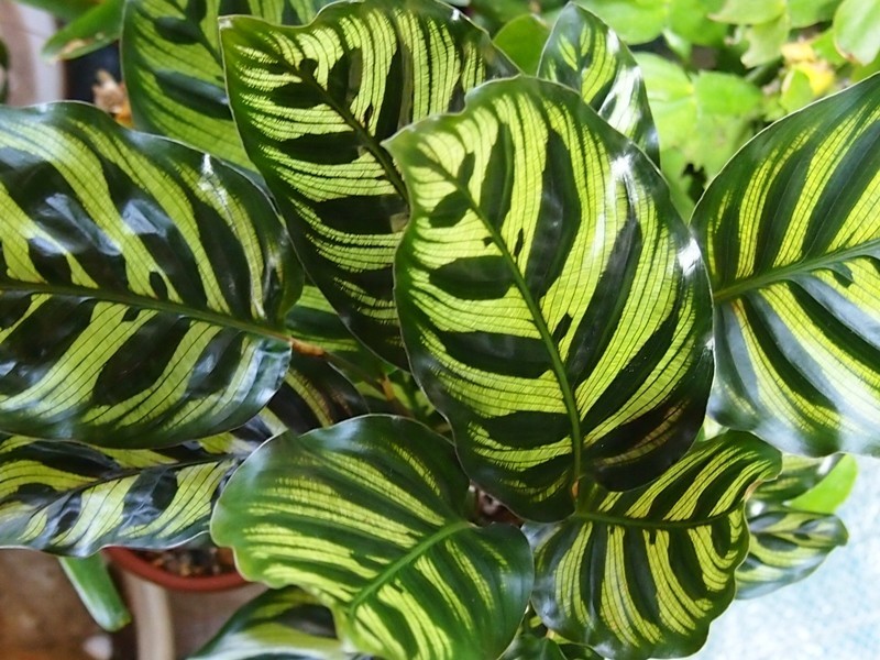 f:id:fujitam3:20190709223238j:plain