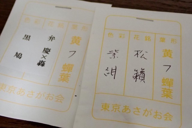 f:id:fujitam3:20190802194929j:plain