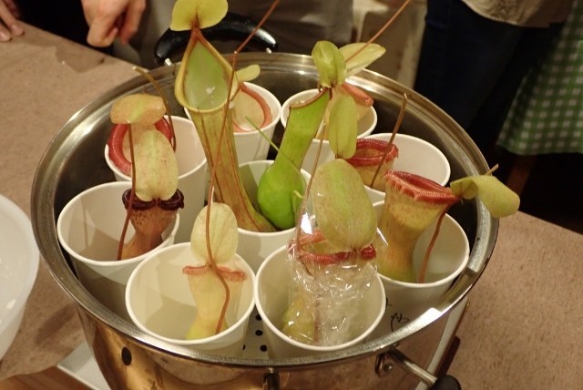 f:id:fujitam3:20191130233907j:plain
