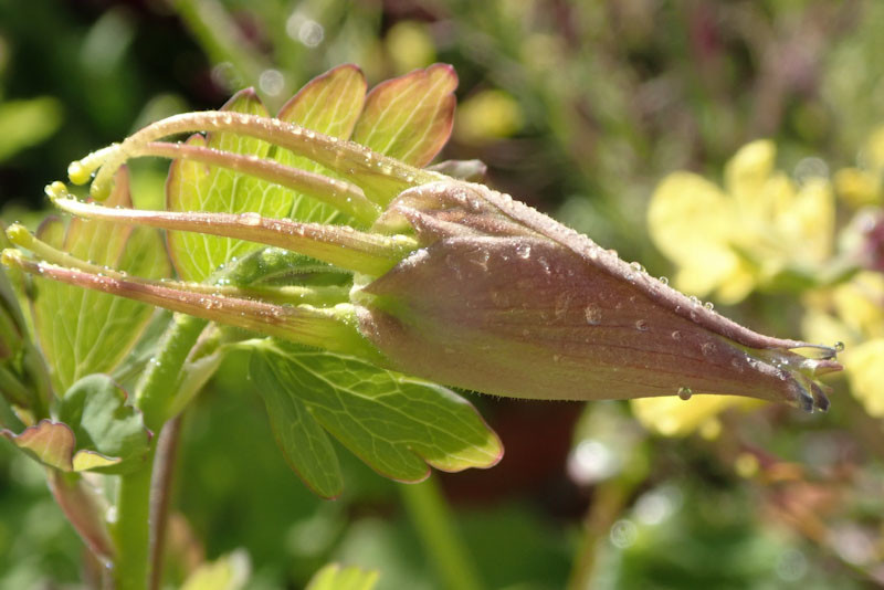 f:id:fujitam3:20200423211652j:plain