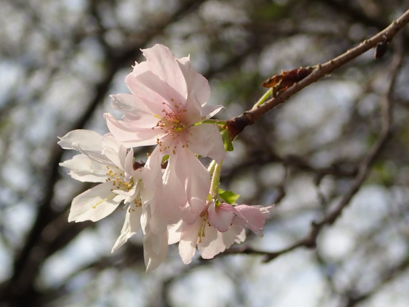 f:id:fujitam3:20201003131352j:plain