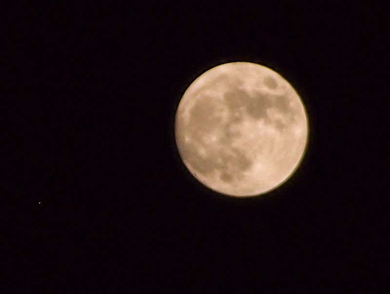 f:id:fujitam3:20211118233843j:plain