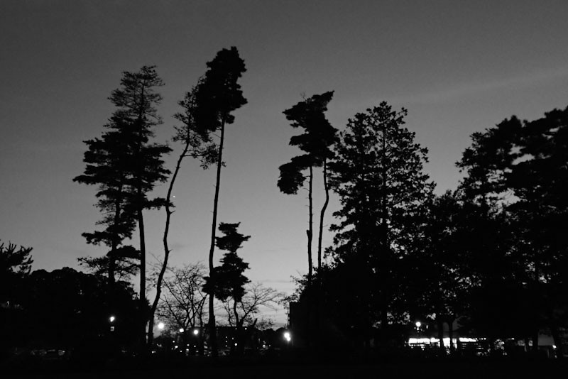 f:id:fujitam3:20211118234151j:plain