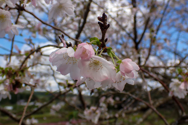 f:id:fujitam3:20220130163934j:plain