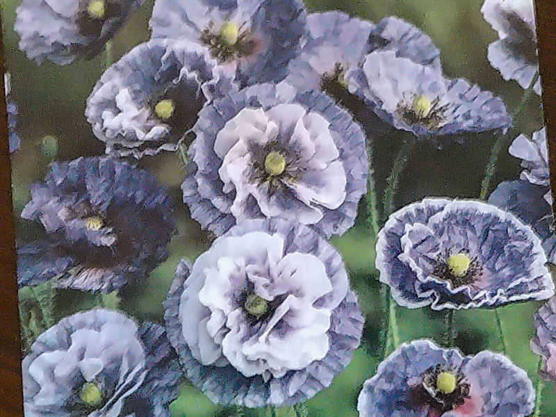 f:id:fujitam3:20220210093632j:plain