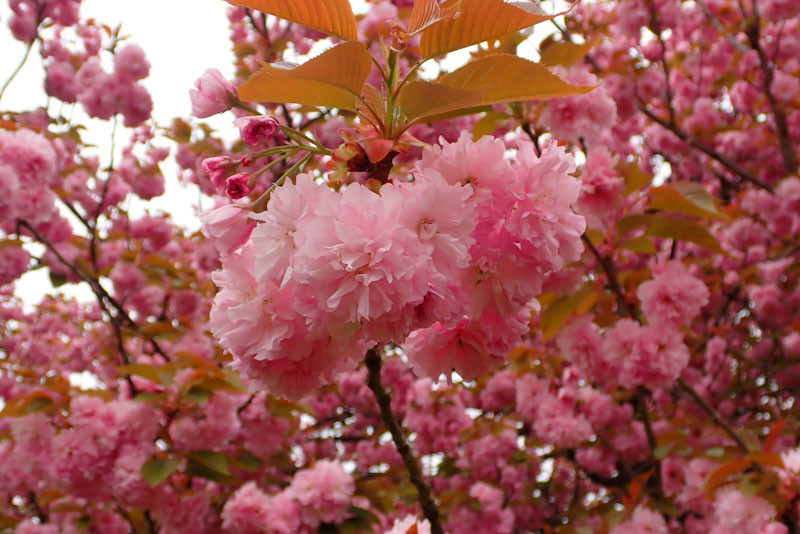 f:id:fujitam3:20220418154100j:plain