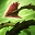 f:id:fujiwara0w0:20180921154452p:plain