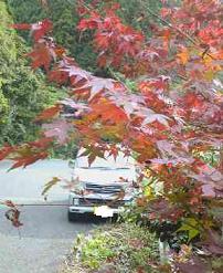 f:id:fujiwarakominka:20071104145200j:image f:id:fujiwarakominka:20071104145200j:image