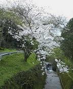 f:id:fujiwarakominka:20090323112000j:image