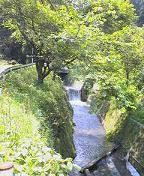 f:id:fujiwarakominka:20090428113600j:image