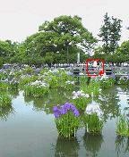 f:id:fujiwarakominka:20090607112000j:image