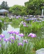 f:id:fujiwarakominka:20090607112200j:image