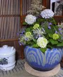 f:id:fujiwarakominka:20090611182500j:image