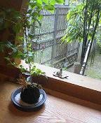 f:id:fujiwarakominka:20090621172200j:image