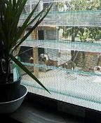 f:id:fujiwarakominka:20090625155400j:image