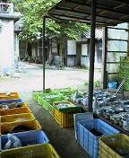f:id:fujiwarakominka:20090628123400j:image