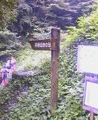 f:id:fujiwarakominka:20090802091900j:image f:id:fujiwarakominka:20090802091900j:image
