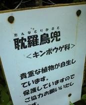 f:id:fujiwarakominka:20090802103200j:image