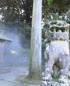 f:id:fujiwarakominka:20090911091100j:image