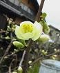 f:id:fujiwarakominka:20100302132700j:image f:id:fujiwarakominka:20100302132700j:image