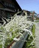 f:id:fujiwarakominka:20100317132600j:image f:id:fujiwarakominka:20100317132600j:image