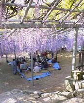 f:id:fujiwarakominka:20100512154600j:image f:id:fujiwarakominka:20100512154600j:image
