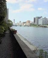 f:id:fujiwarakominka:20100601142700j:image