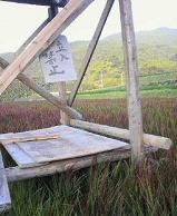 f:id:fujiwarakominka:20100904175300j:image