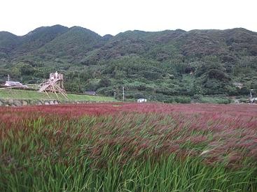 f:id:fujiwarakominka:20100912062832j:image