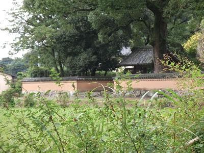 f:id:fujiwarakominka:20101024135703j:image f:id:fujiwarakominka:20101024135703j:image